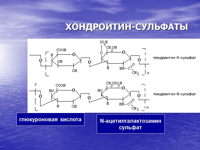 ХОНДРОИТИН-СУЛЬФАТЫ  глюкуроновая кислота N-ацетилгалактозамин сульфат
